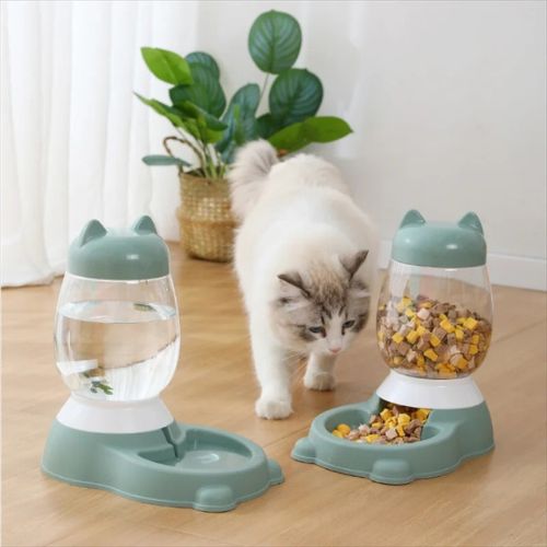 distributeur eau et croquettes pour chat oreilles