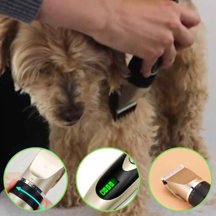 Tondeuse pour chien | GROOMPro™