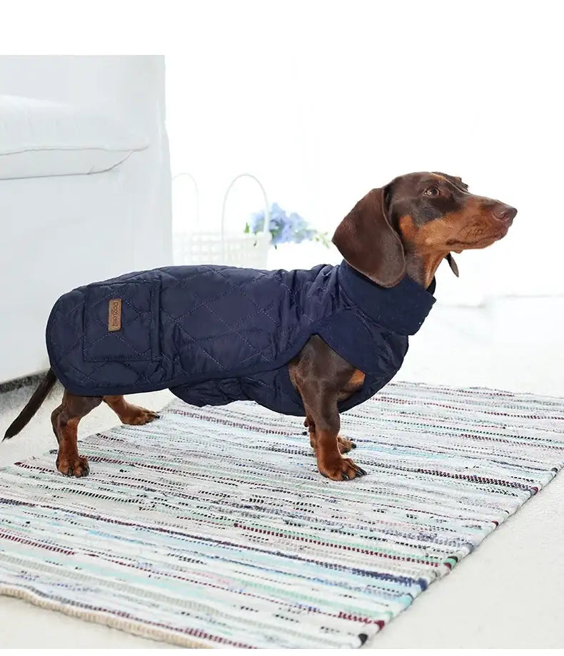 Manteau Hiver Matelassé Pour Teckel