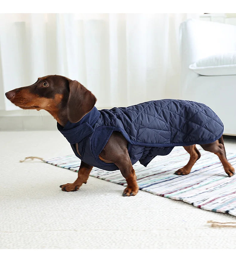 Manteau Hiver Matelassé Pour Teckel