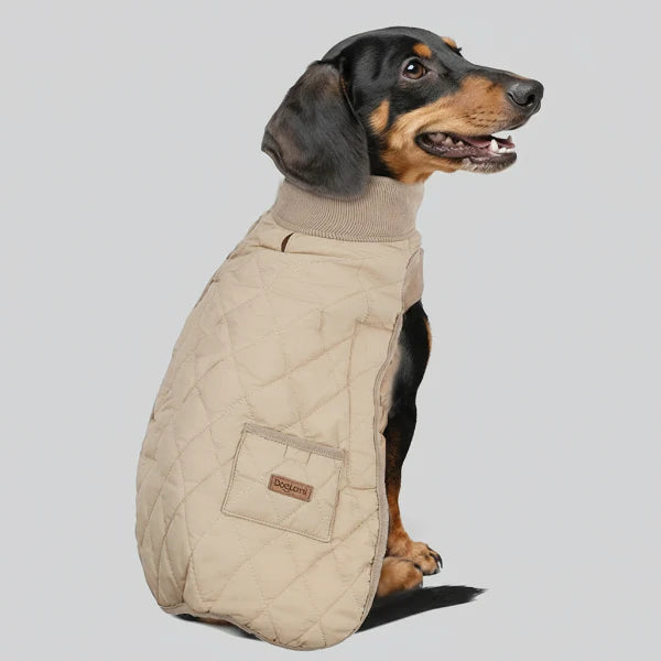 Manteau Hiver Matelassé Pour Teckel