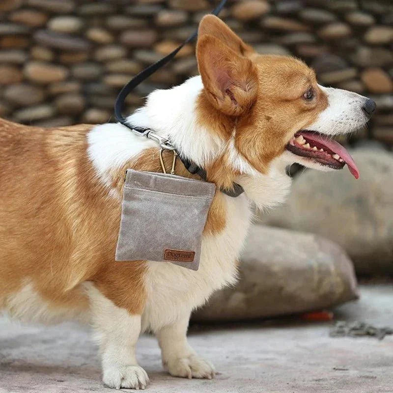 Sac à Friandises pour Chiens et Chats