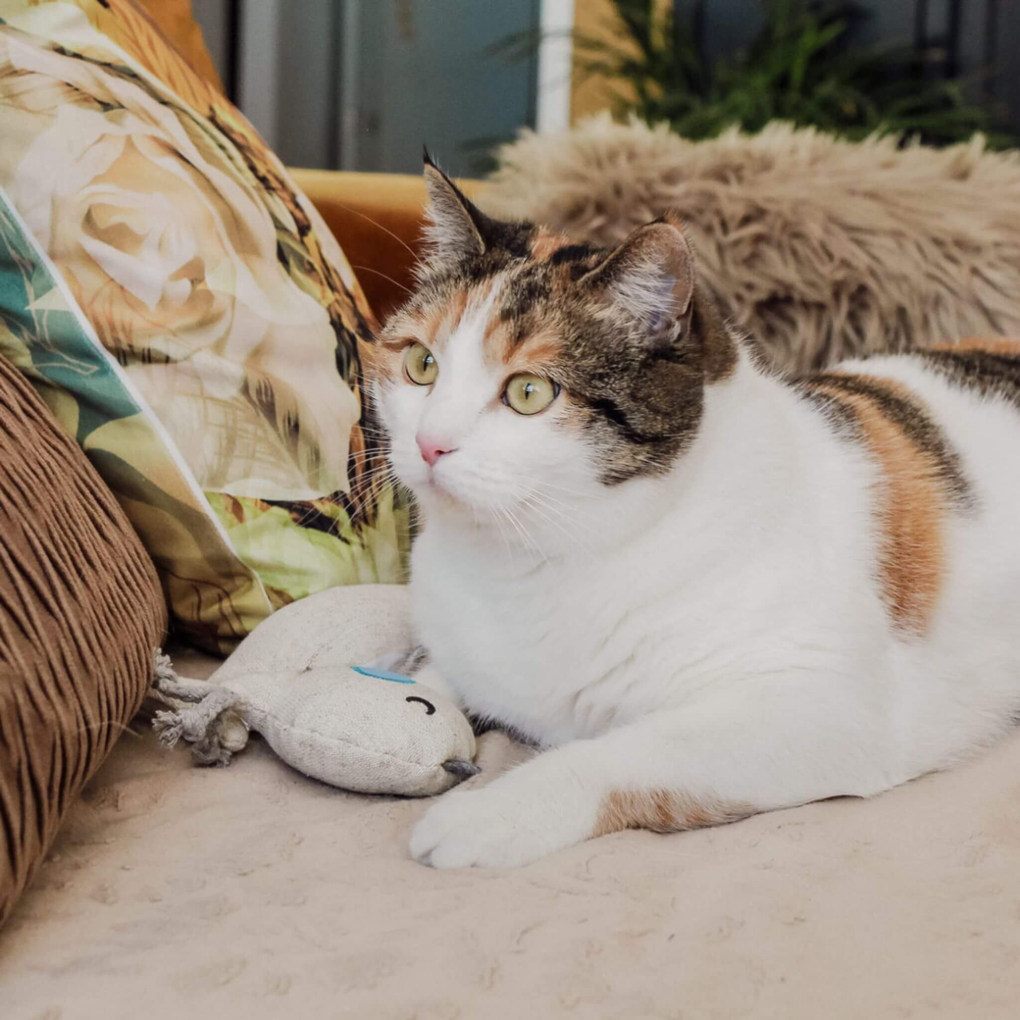 Doudou pour chat Trio Design