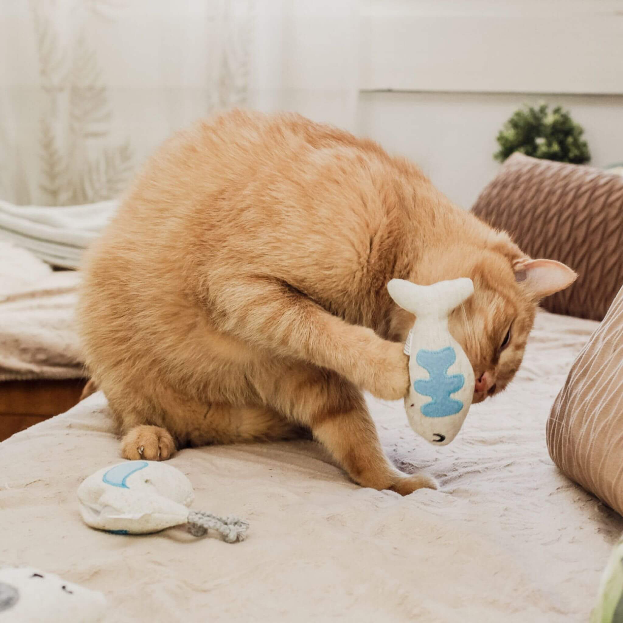 Doudou pour chat Trio Design