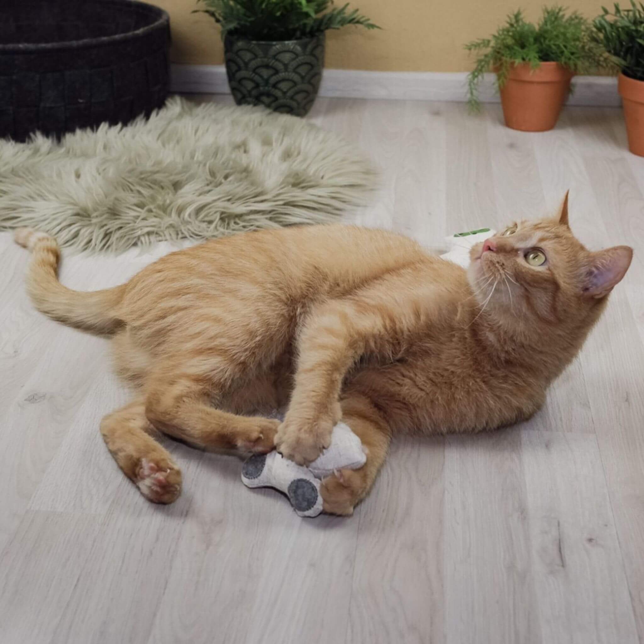 Doudou pour chat Trio Design