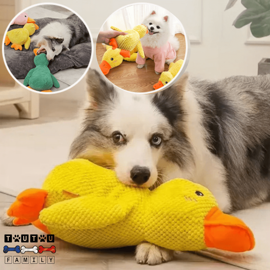 Doudou pour chien - CanardToutou™