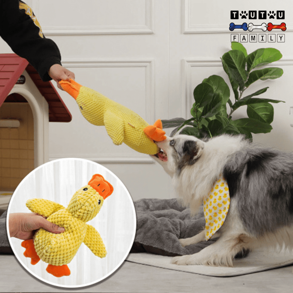 Doudou pour chien - CanardToutou™