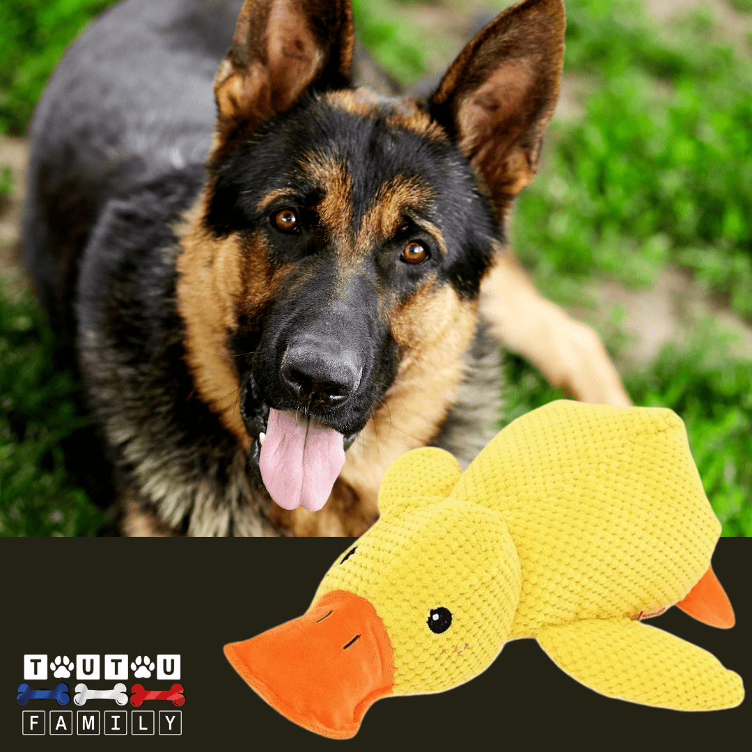 Doudou pour chien - CanardToutou™
