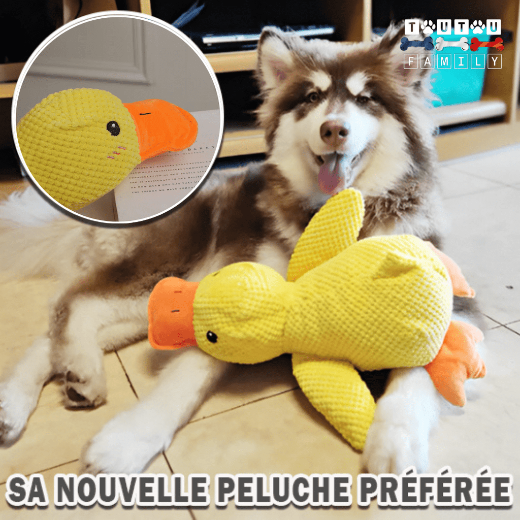 Doudou pour chien - CanardToutou™