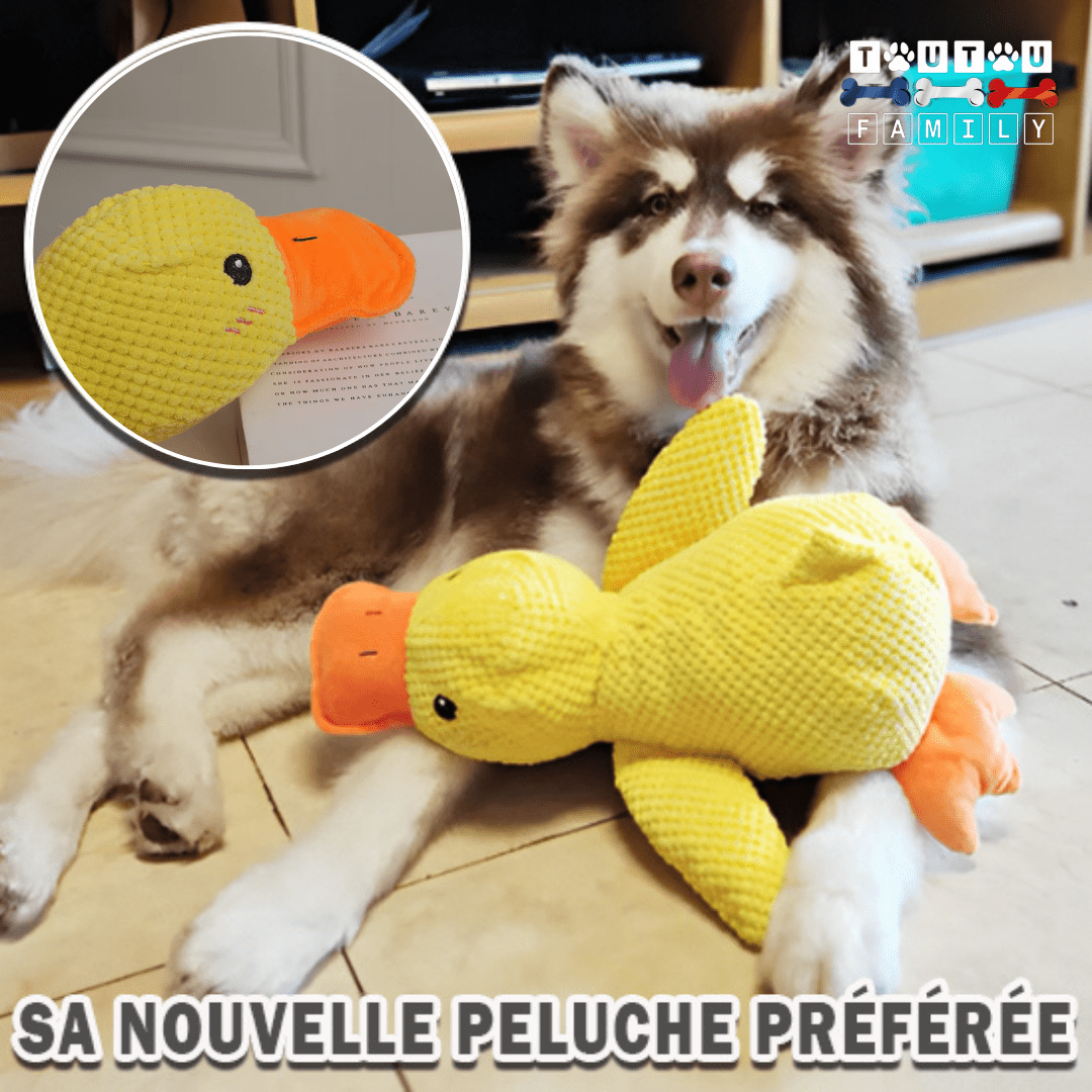 Doudou pour chien - CanardToutou™