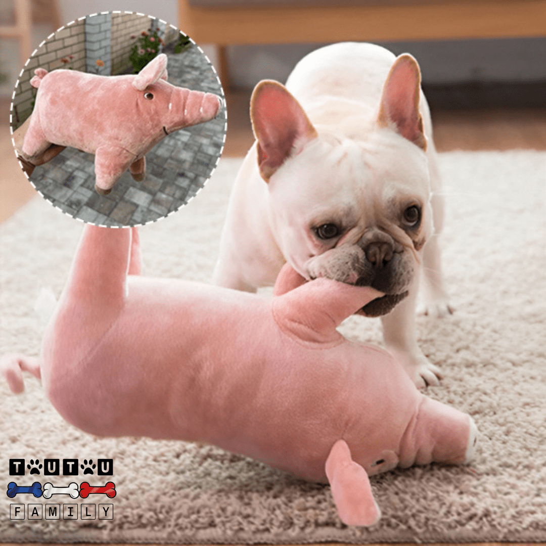 Doudou pour chien Cochon - TendreToutou™