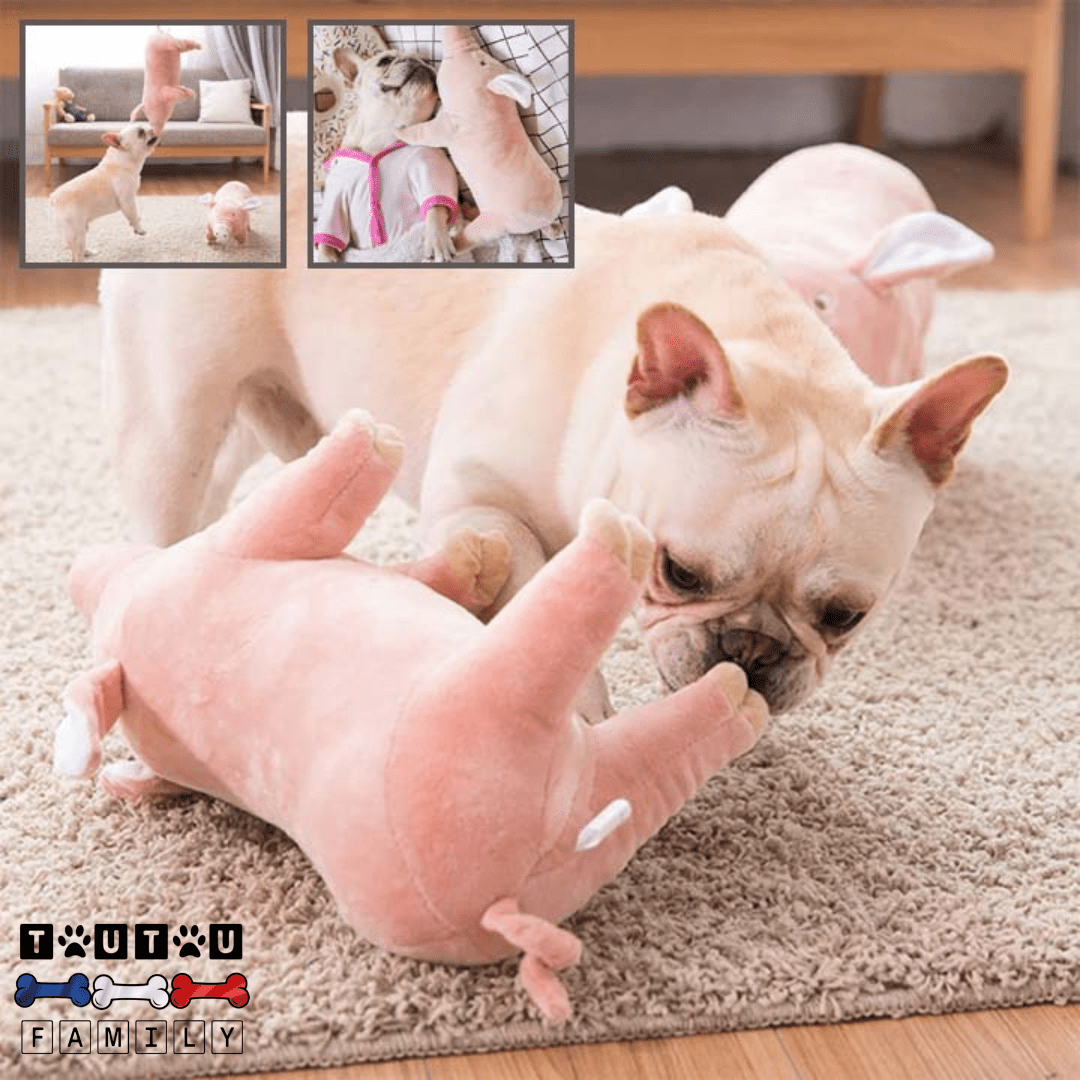 Doudou pour chien Cochon - TendreToutou™