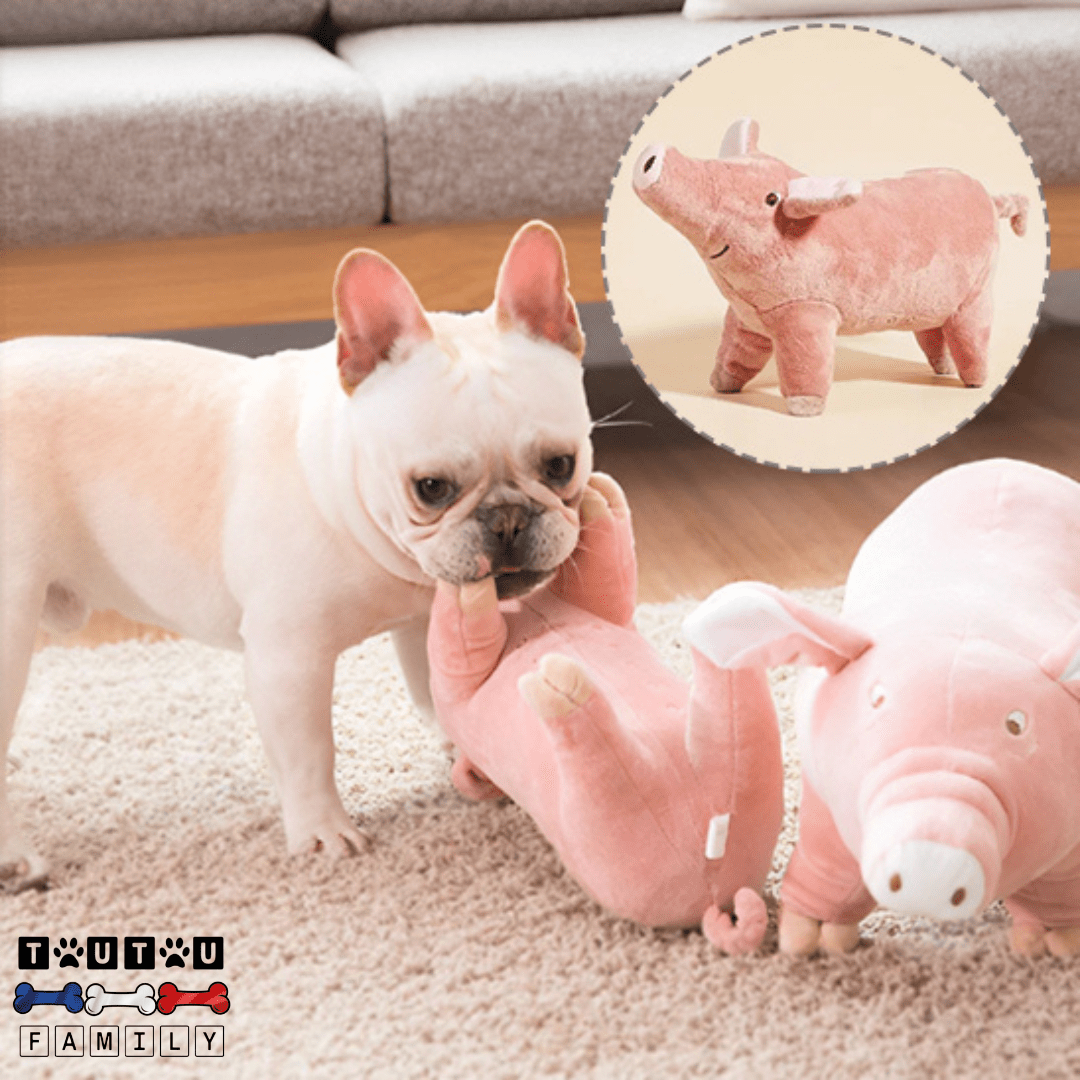 Doudou pour chien Cochon - TendreToutou™