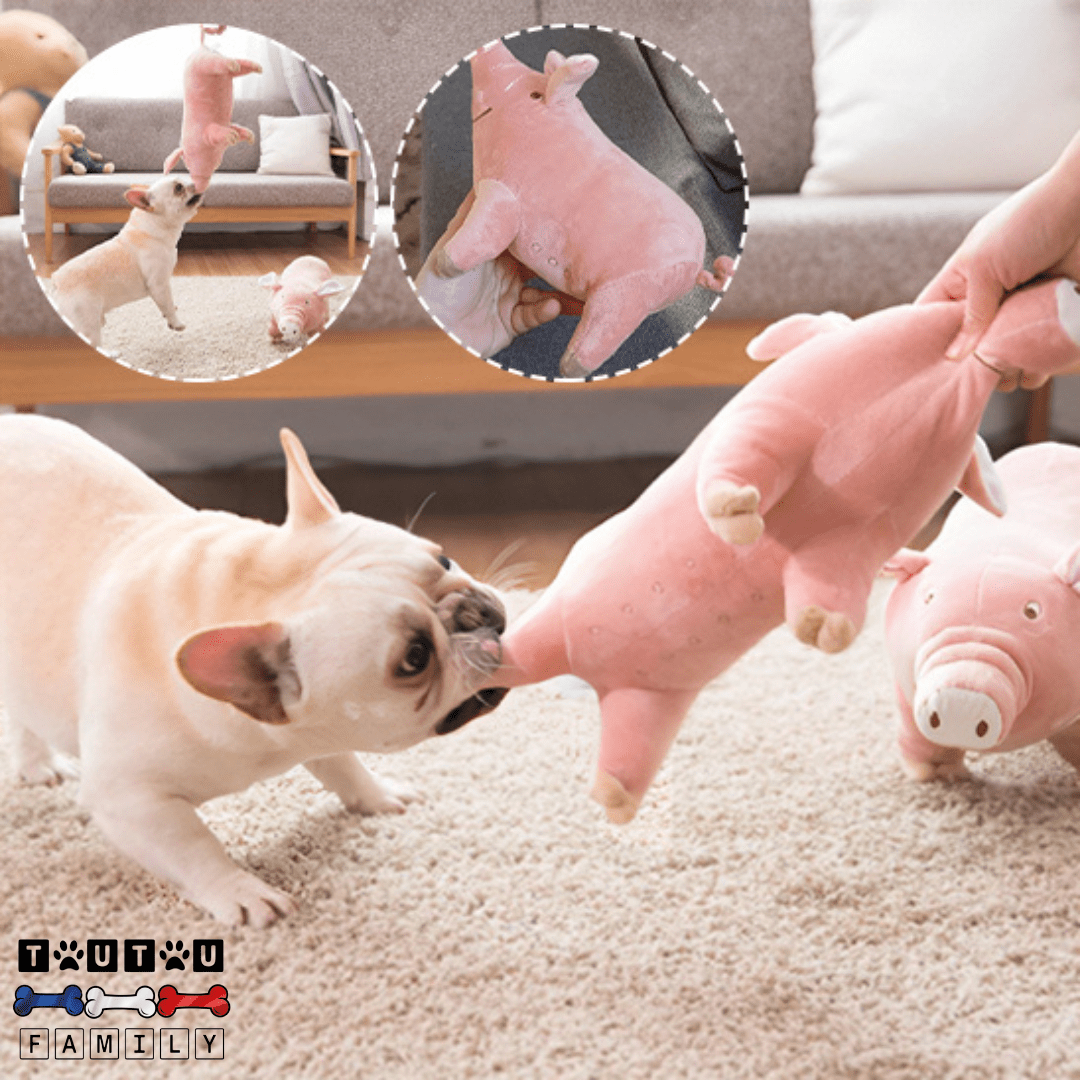 Doudou pour chien Cochon - TendreToutou™
