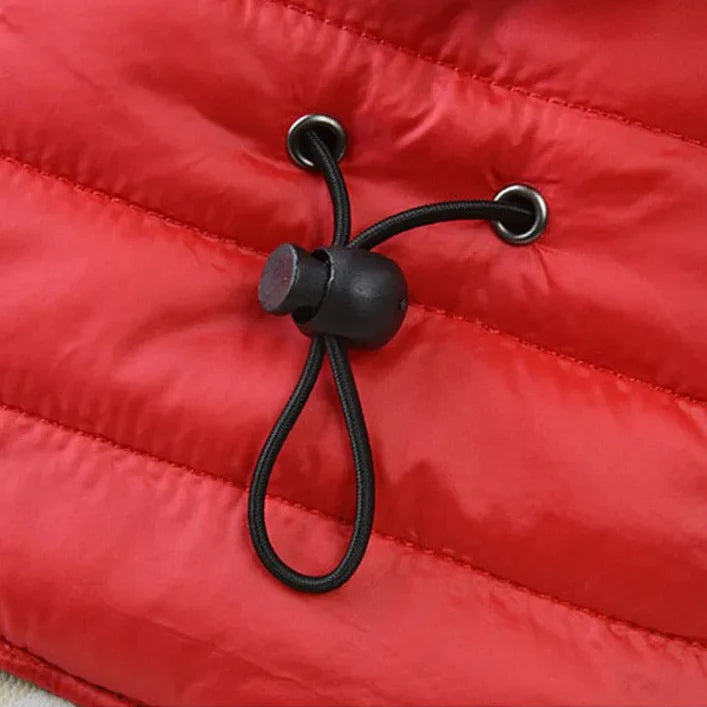 Doudoune Imperméable Et Chaude Pour Petit Et Moyen Chien