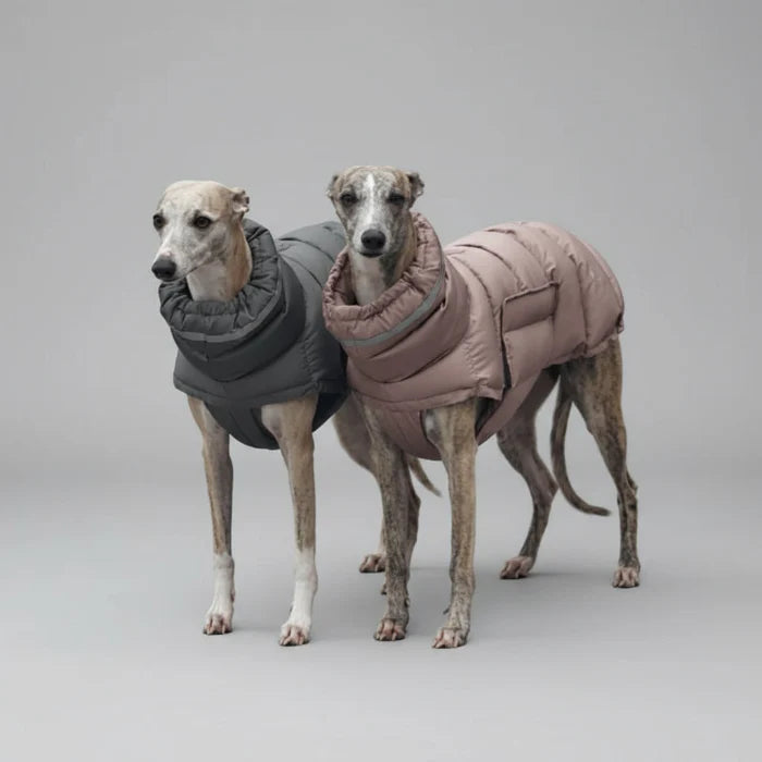 Doudoune Coupe-vent Et Imperméable Pour Chien Lévrier