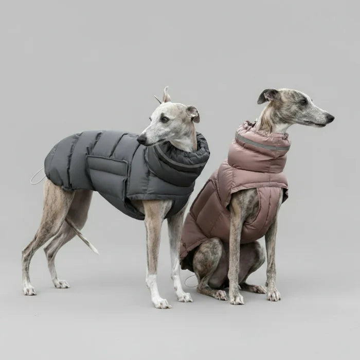 Doudoune Coupe-vent Et Imperméable Pour Chien Lévrier