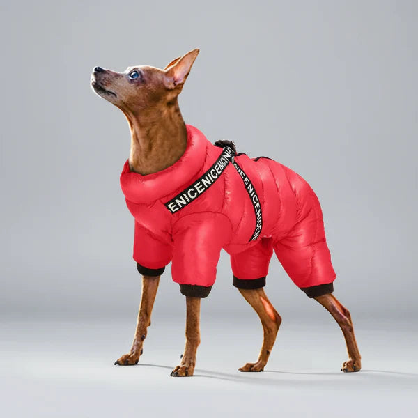 Manteau Imperméable Pour Chien Avec Harnais Intégré Ultra-chaud