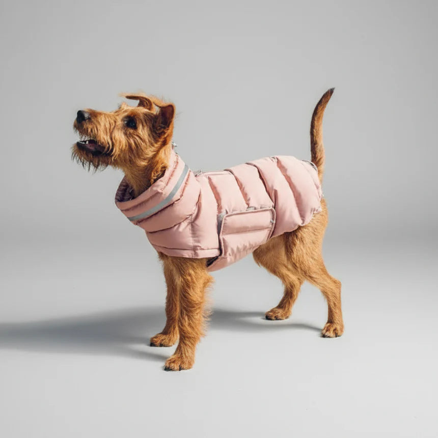 Doudoune Coupe-vent Et Imperméable Pour Chien Lévrier