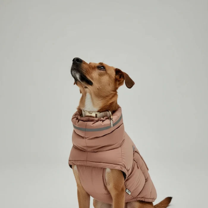 Doudoune Coupe-vent Et Imperméable Pour Chien Lévrier