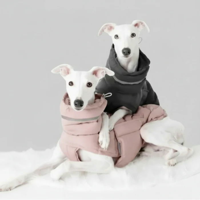 Doudoune Coupe-vent Et Imperméable Pour Chien Lévrier