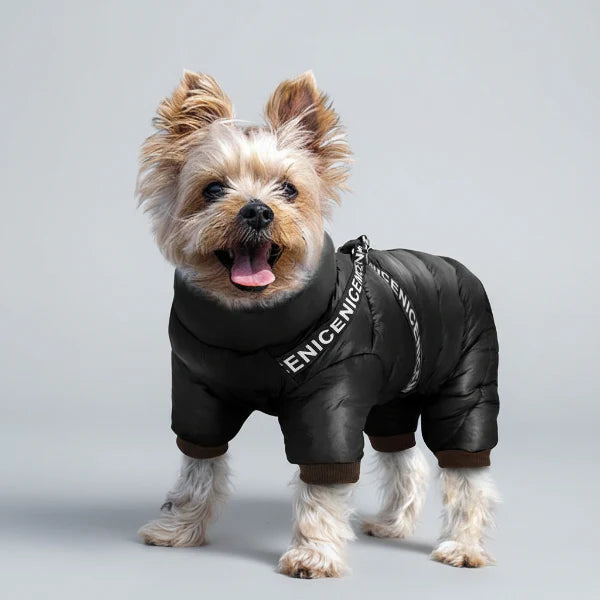 Manteau Imperméable Pour Chien Avec Harnais Intégré Ultra-chaud