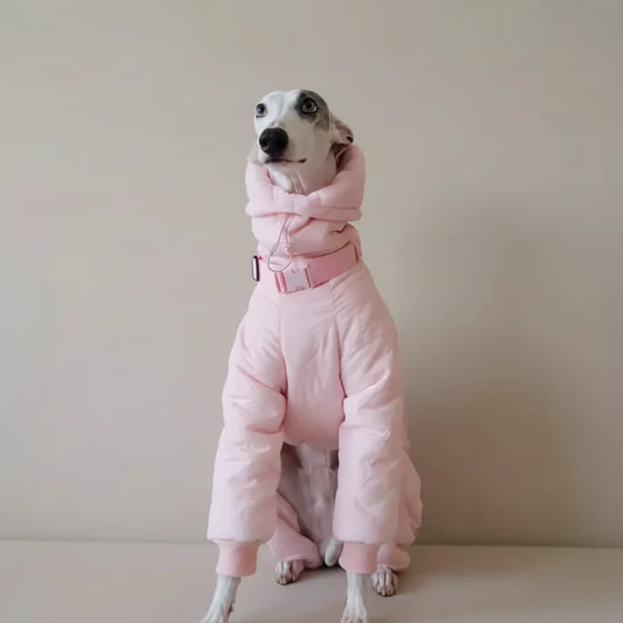 Doudoune Imperméable Pour Lévrier Et Whippet