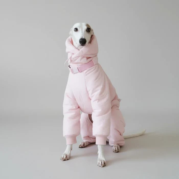 Doudoune Imperméable Pour Lévrier Et Whippet