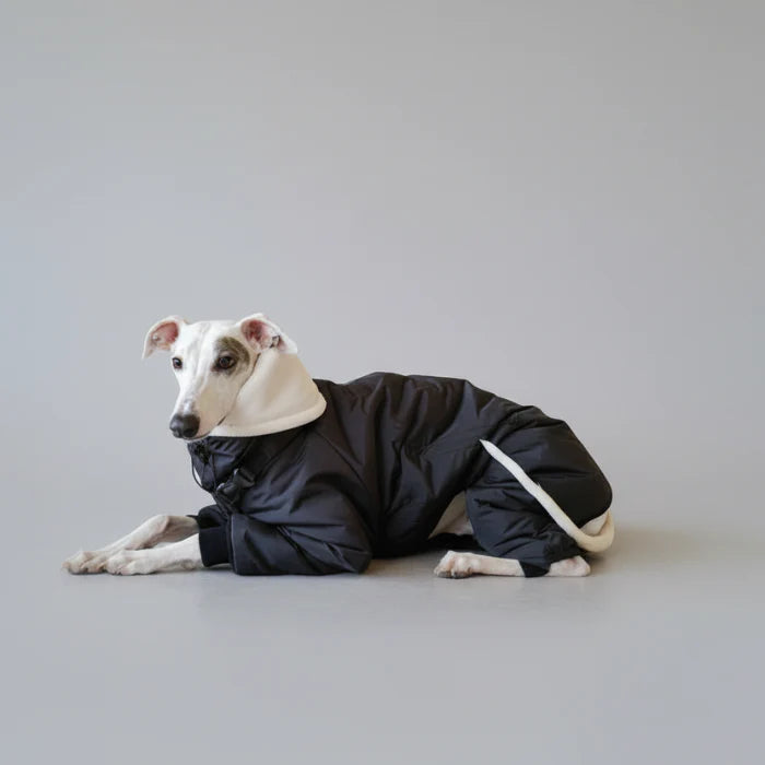 Doudoune Matelassée Pour Lévrier Et Whippet