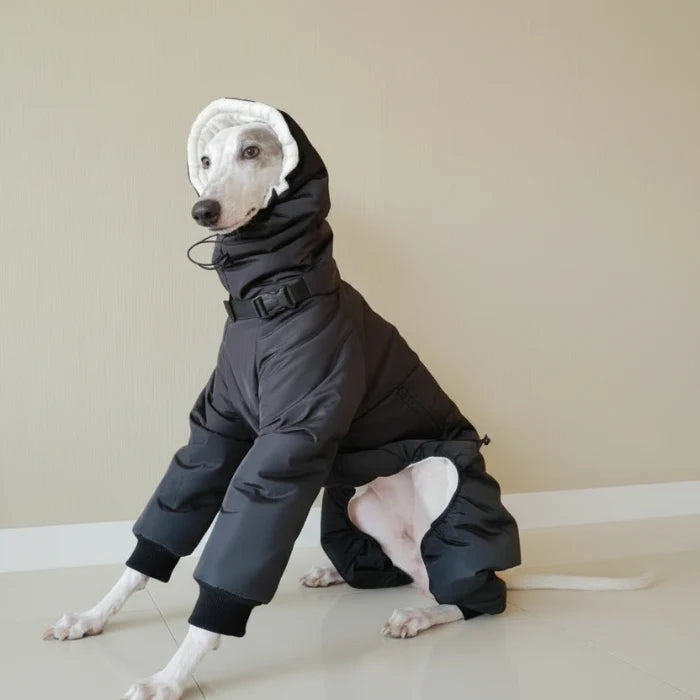 Doudoune Matelassée Pour Lévrier Et Whippet