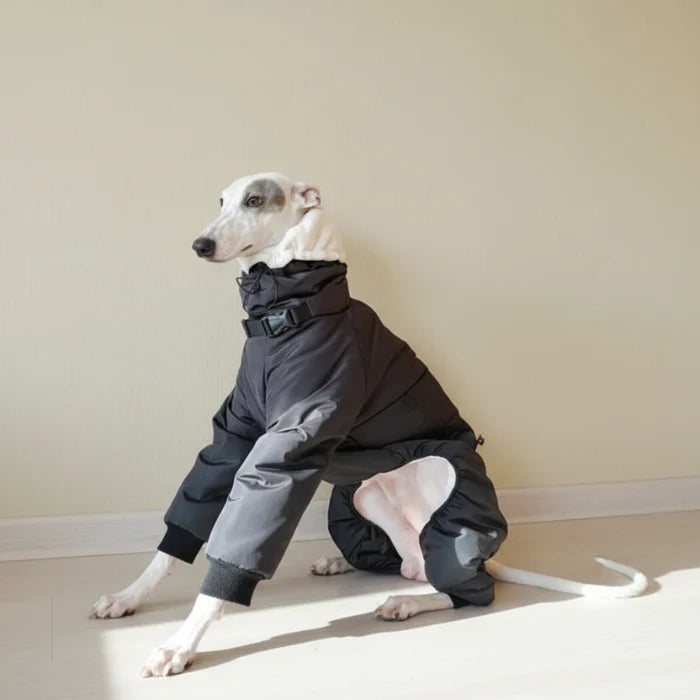 Doudoune Matelassée Pour Lévrier Et Whippet