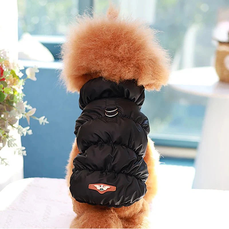 Doudoune pour Chat