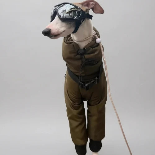 Manteau imperméable haute qualité pour lévrier, whippet et greyhound – Oscar & Plume