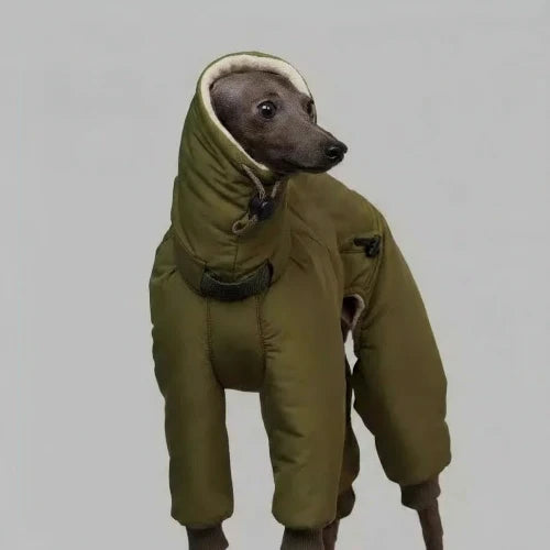 Doudoune pour lévrier en vert olive, parfaite pour garder votre chien au chaud pendant l'hiver