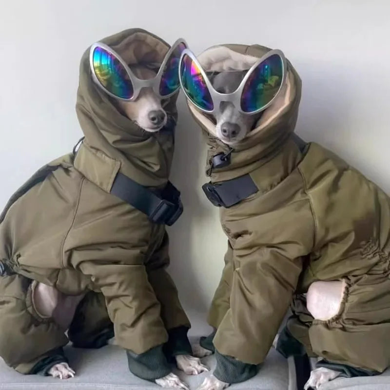 Manteau imperméable haute qualité pour lévrier, whippet et greyhound – Oscar & Plume