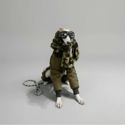 Manteau imperméable haute qualité pour lévrier, whippet et greyhound – Oscar & Plume