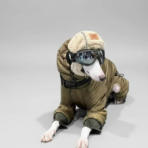 Manteau imperméable haute qualité pour lévrier, whippet et greyhound – Oscar & Plume