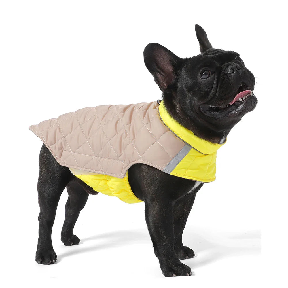 Doudoune réversible Oscar & Plume : manteau pour chien imperméable