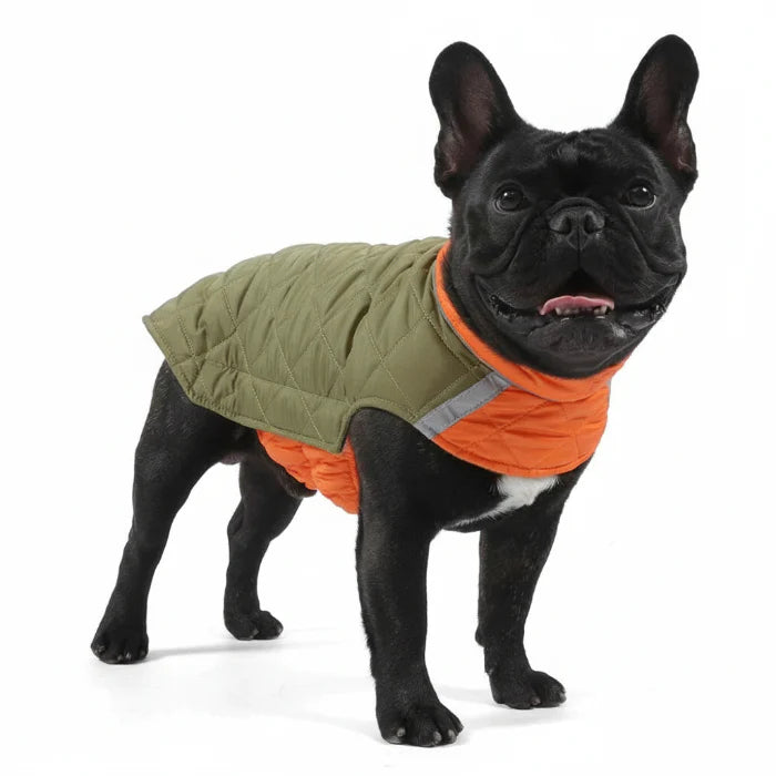 Doudoune réversible Oscar & Plume : manteau pour chien imperméable