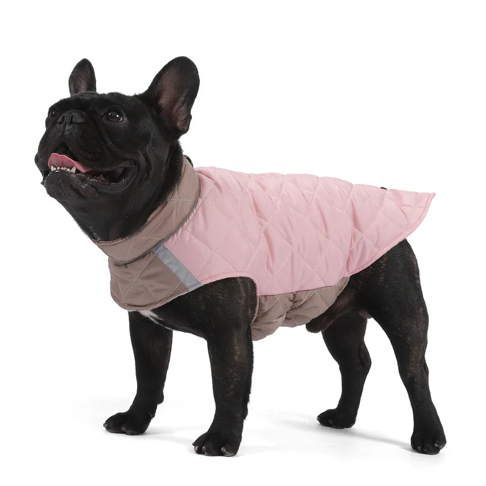 Doudoune réversible Oscar & Plume : manteau pour chien imperméable