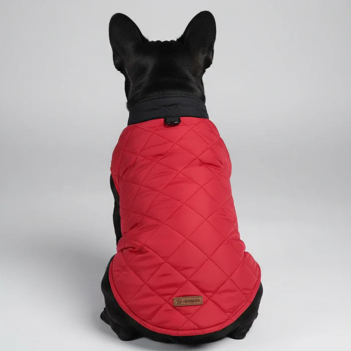Doudoune réversible Oscar & Plume : manteau pour chien imperméable