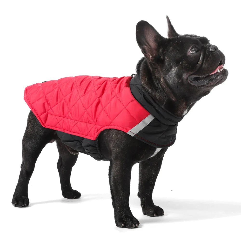Doudoune réversible Oscar & Plume : manteau pour chien imperméable