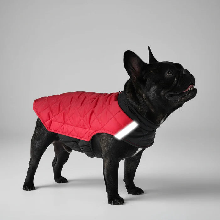 Doudoune réversible Oscar & Plume : manteau pour chien imperméable