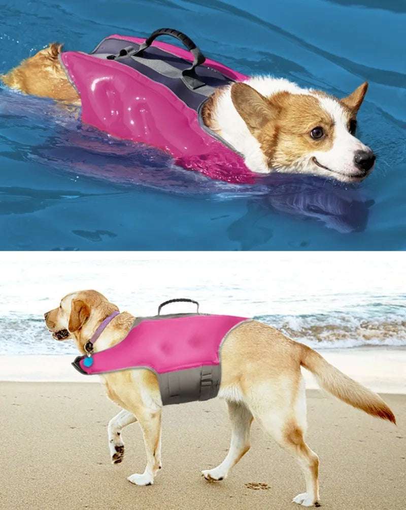 Gilet de Sauvetage gonflable pour chien