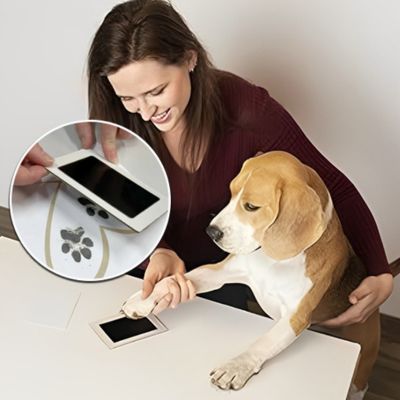 Kit Empreinte Chien avec Cadre - DogPrint™