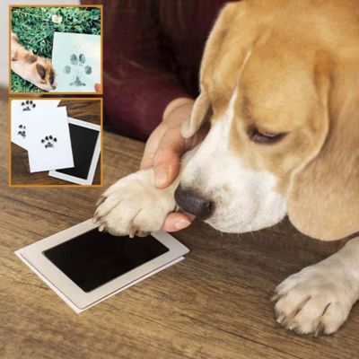 DogoPrint™ | Kit d'empreinte chien avec cadre
