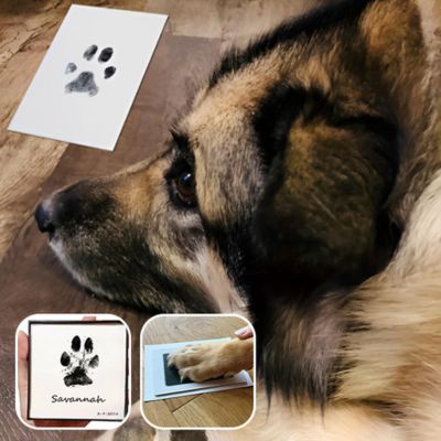 DogoPrint™ | Kit d'empreinte chien avec cadre
