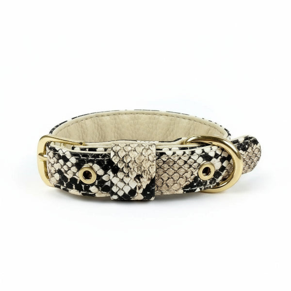 Ensemble collier laisse chic serpent