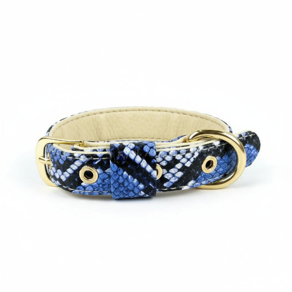 Ensemble collier laisse chic serpent