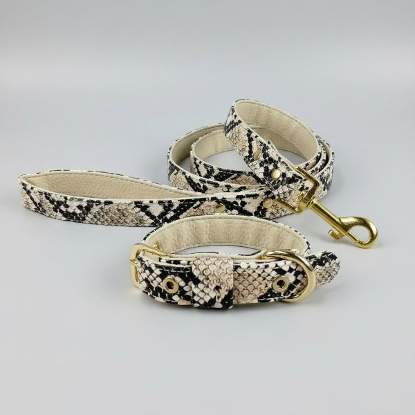 Ensemble collier laisse chic motif serpent beige noir avec boucles dorées Oscar et Plume